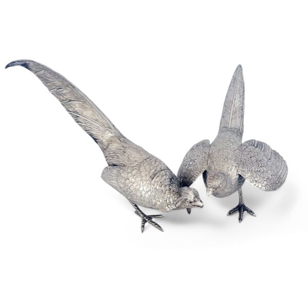 CAST SILVER PHEASANTS